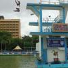 Duet Diving